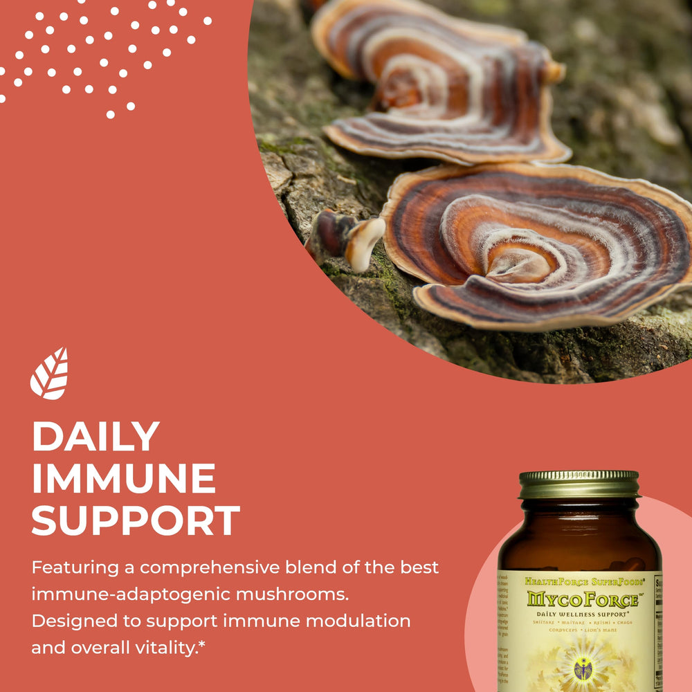 Mushroom blend ingredients highlight on packaging
