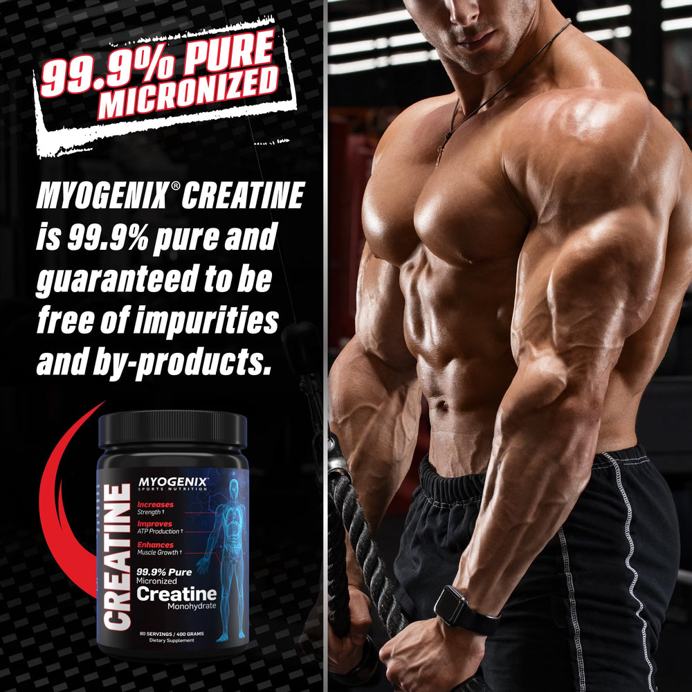 Digestive enzymes and probiotics infographic for Myogenix Creatine Monohydrate