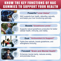 Sugar-free logo and natural sweeteners stevia monk fruit