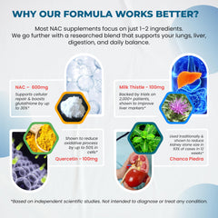 Illustration of 12-in-1 liver detox complex ingredients