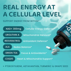 Close-up of Direct NAD+ 300 mg formula