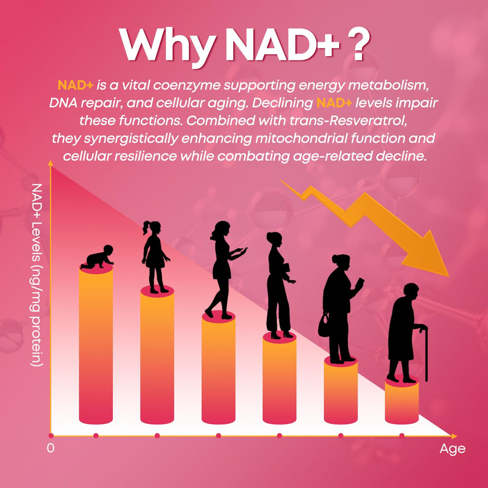 Black pepper extract ingredient for enhanced absorption