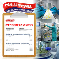 Heart wellness concept graphic