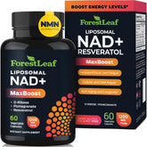 ForestLeaf NAD+ 500mg supplement bottle – energy and focus