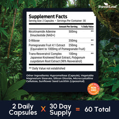 NAD+ with resveratrol ingredient highlight