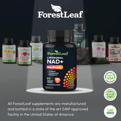 Vegetarian-friendly NAD+ supplement label