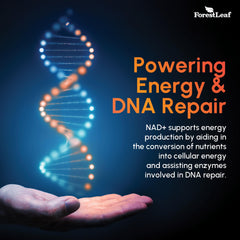 USA-made GMP-certified facility emblem