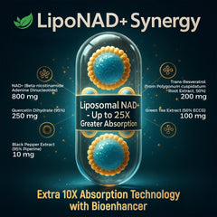 Illustration of liposomal NAD+ delivery technology