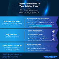 Trans-Resveratrol purity highlight 99.3%