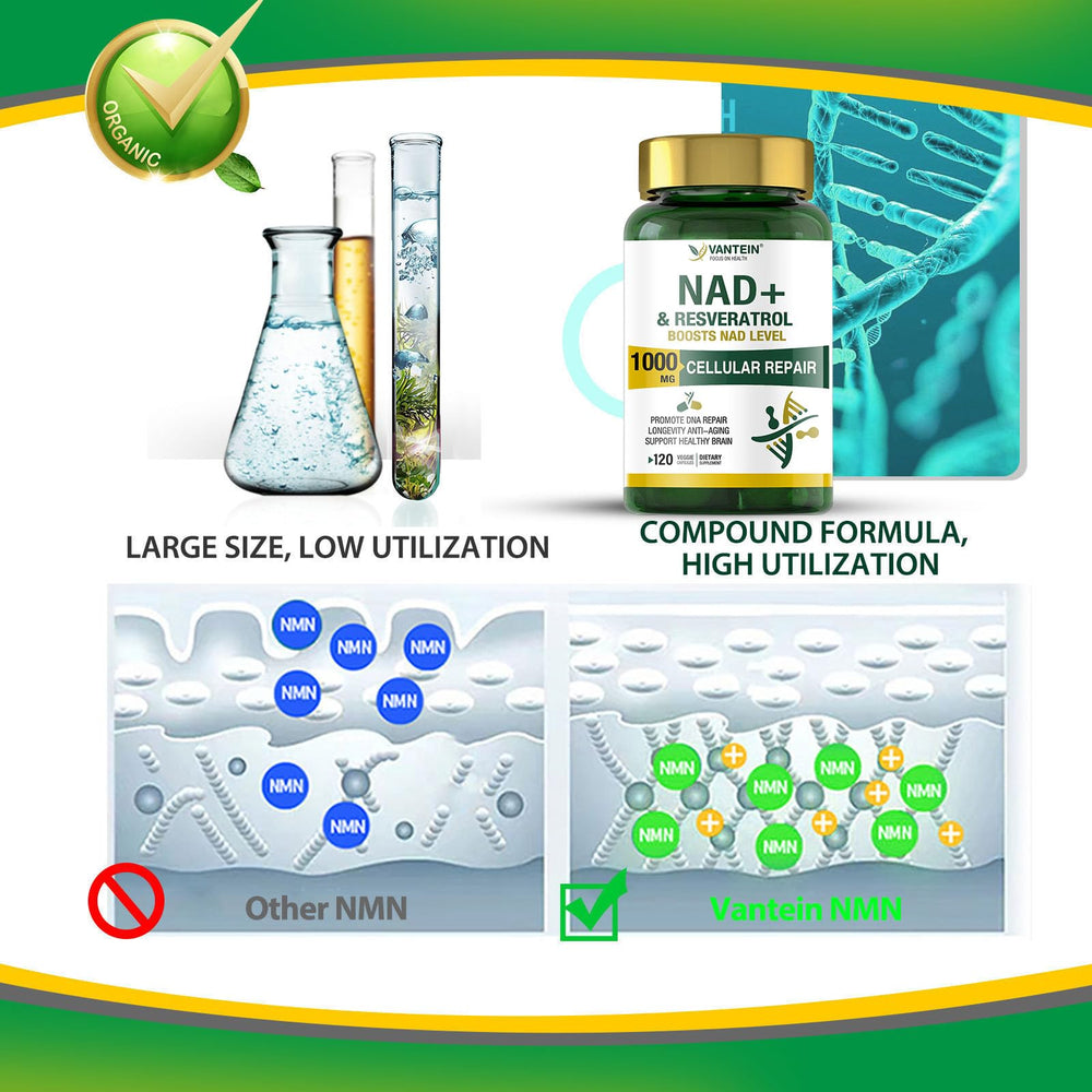 Capsules inside bottle for NAD+ & Resveratrol supplement