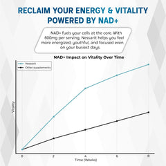 Illustration of quercetin, turmeric, berberine, bilberry, and green tea ingredients