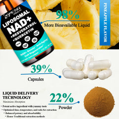 AMENQ hHEALTH NAD liquid drops with 2 ml dropper