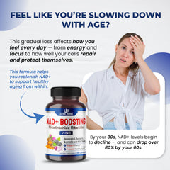 Back label of NAD+ supplement bottle showing ingredients and dosage