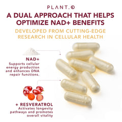Healthy aging concept with NAD and Resveratrol