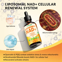 Adults using the NAD supplement for daily wellness