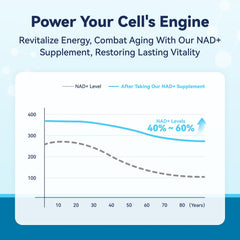 Illustration of ingredients: Nicotinamide Riboside, Resveratrol, CoQ10, Alpha-Lipoic Acid, Astaxanthin