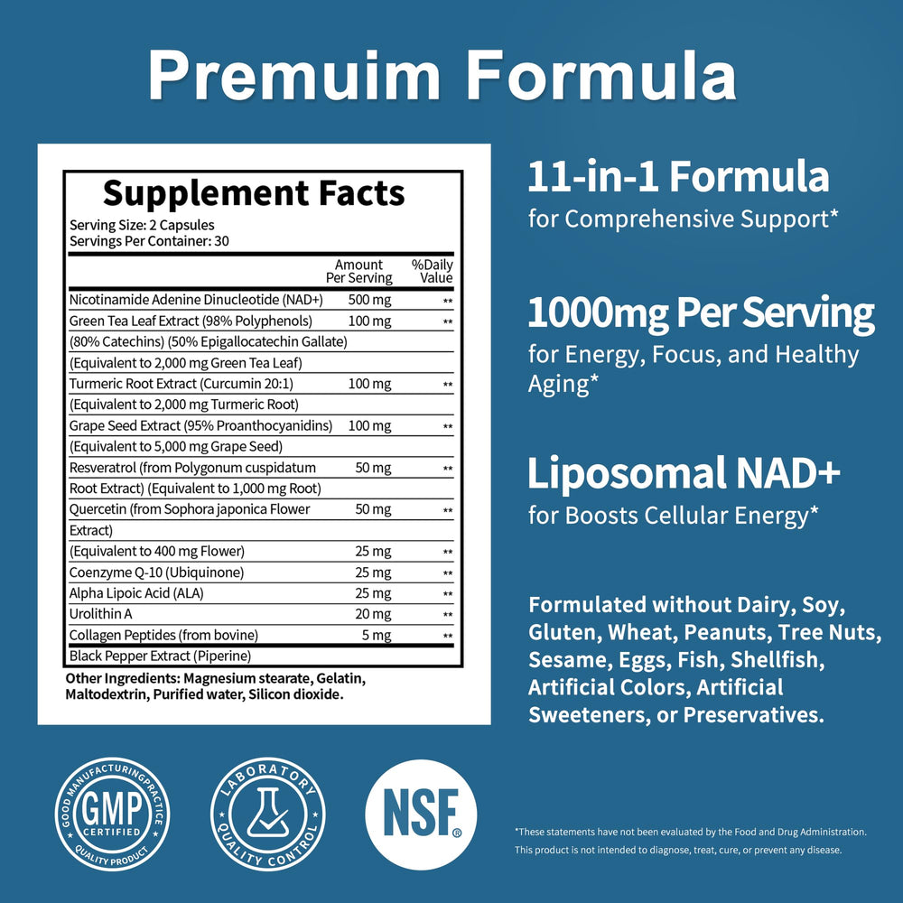 Visualization of liposomal NAD+ delivery technology