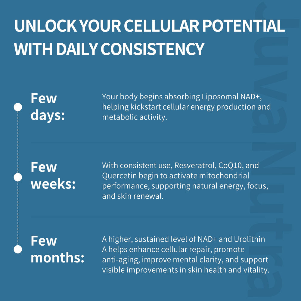 Turmeric, Grape Seed, and Green Tea for antioxidant support