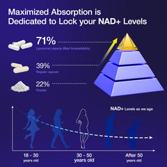 Concept image of energy and brain support from NAD+
