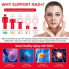 Liquid NAD+ absorption diagram