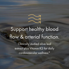 Graphic depicting improved endothelial function and circulation for NAOMI BP Advanced