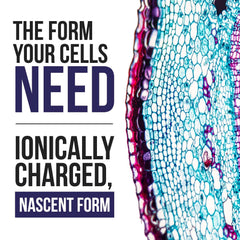 Vegan, earth-sourced minerals