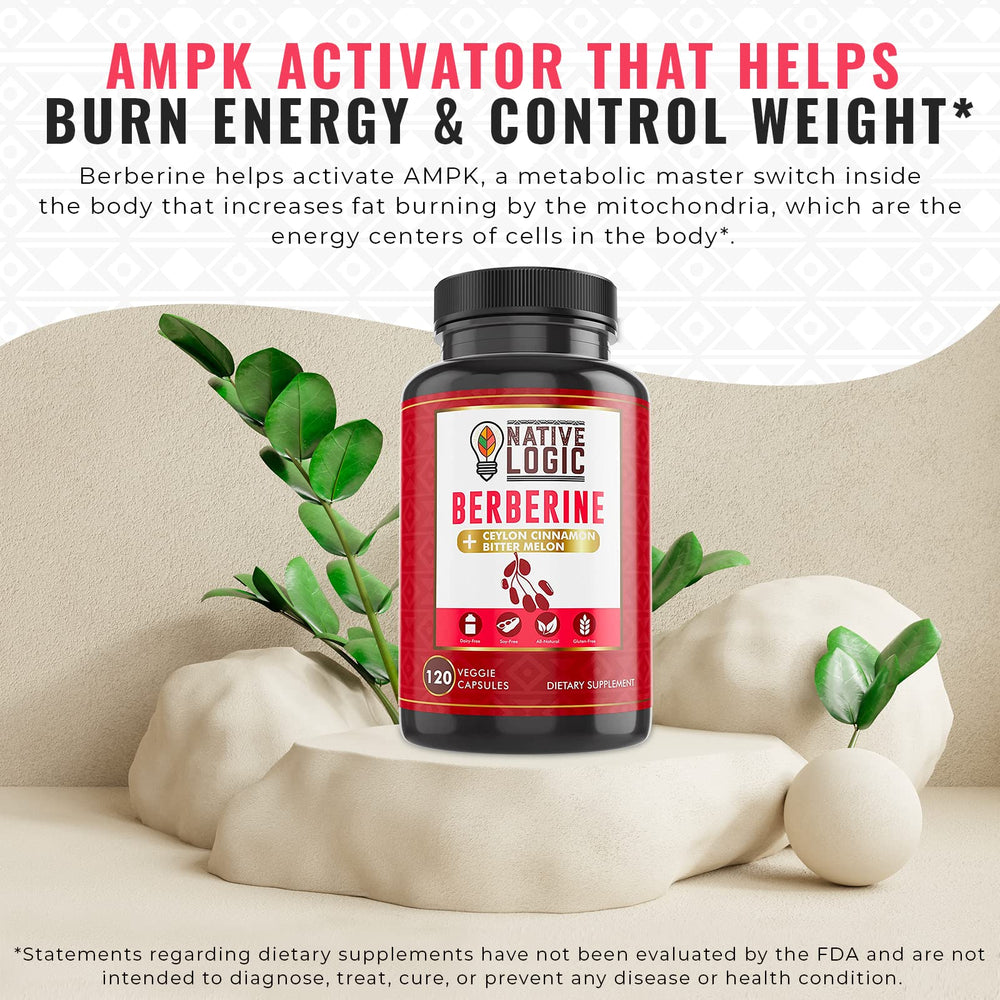 Healthy lifestyle concept with capsules and ingredients: Berberine HCL, Cinnamon, Bitter Melon, Green Tea