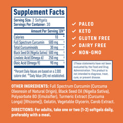 Graphic illustrating micelle absorption technology
