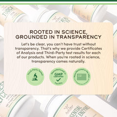 Vegan safe, non-GMO, gluten-free nattokinase supplement