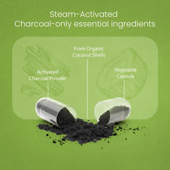 NaturaLife Labs activated charcoal capsules in hand emphasizing convenient 100-count pack