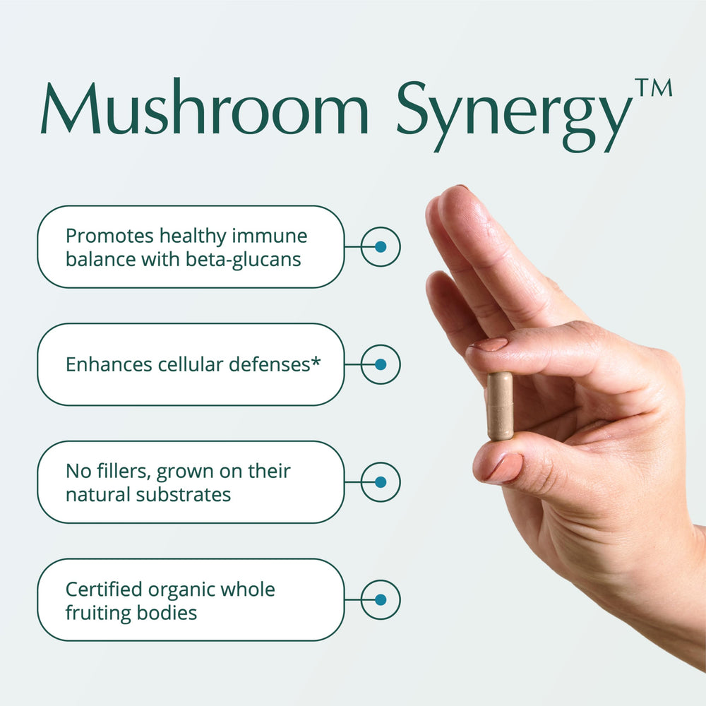 Capsules containing Turkey Tail, Red Reishi, Chaga, and Poria mushrooms