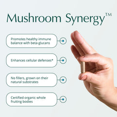 Capsules containing Turkey Tail, Red Reishi, Chaga, and Poria mushrooms