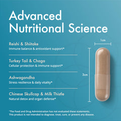 Close-up of organic mushroom extracts and Shiitake