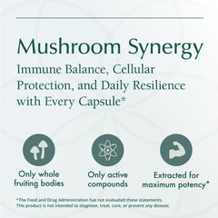 Immune support and antioxidant mushroom supplement imagery