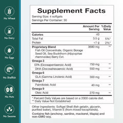 Borage seed oil illustration for Omega Essentials