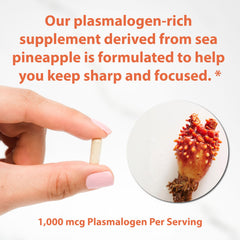 Antioxidant defense concept representing sea-derived plasmalogens