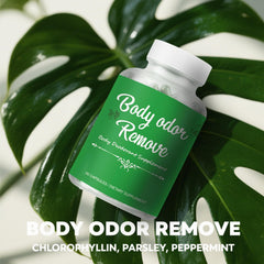 Graphic of natural chlorophyll with mint and parsley