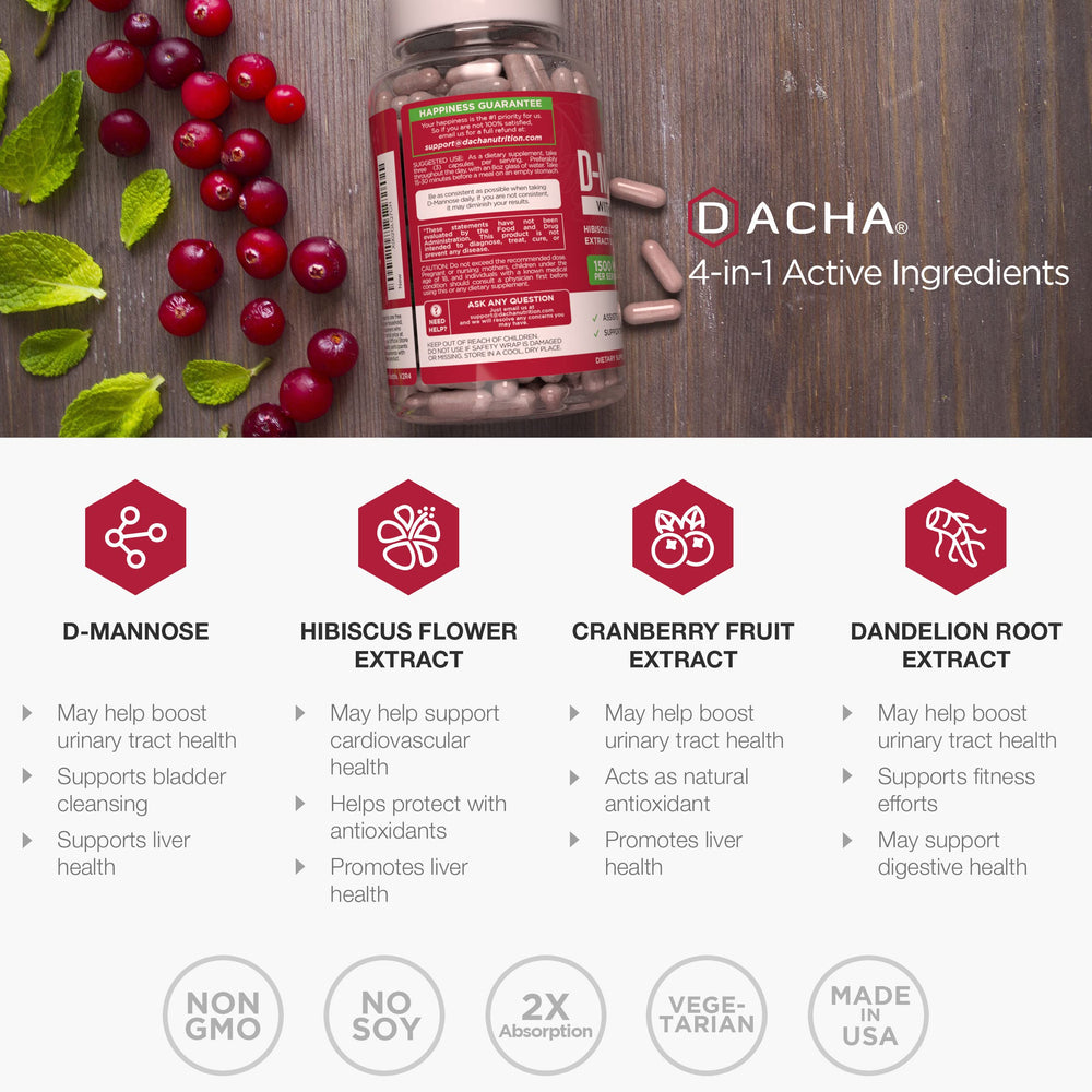Illustration of urinary tract and bladder health support