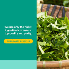 90 softgels from Natural Factors 3 Brains