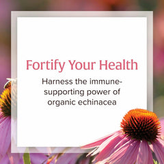 Herbal ingredients including echinacea, reishi, astragalus and lomatium