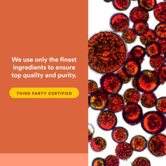 PQQ illustration representing energy support