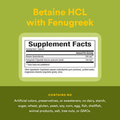 Fenugreek and digestion illustration
