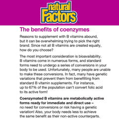 Graphic illustrating coenzyme and enzyme interaction