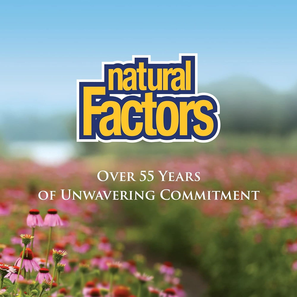 Digestive health concept graphic with gut illustration