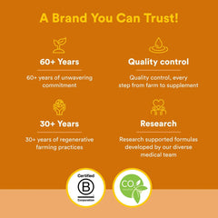 Energy metabolism and B vitamins concept illustration