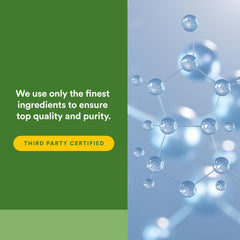 Lactase enzyme capsules arranged on white background