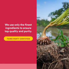 Natural Factors PGX Daily Ultra Matrix daily-use routine on a kitchen counter