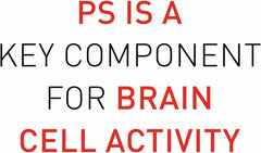 Non-GMO sunflower lecithin source photograph