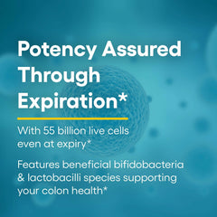 Illustration of healthy gut and intestinal restoration