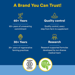 Calcium absorption concept graphic